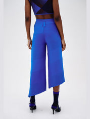 Coco asymmetric wide leg pants