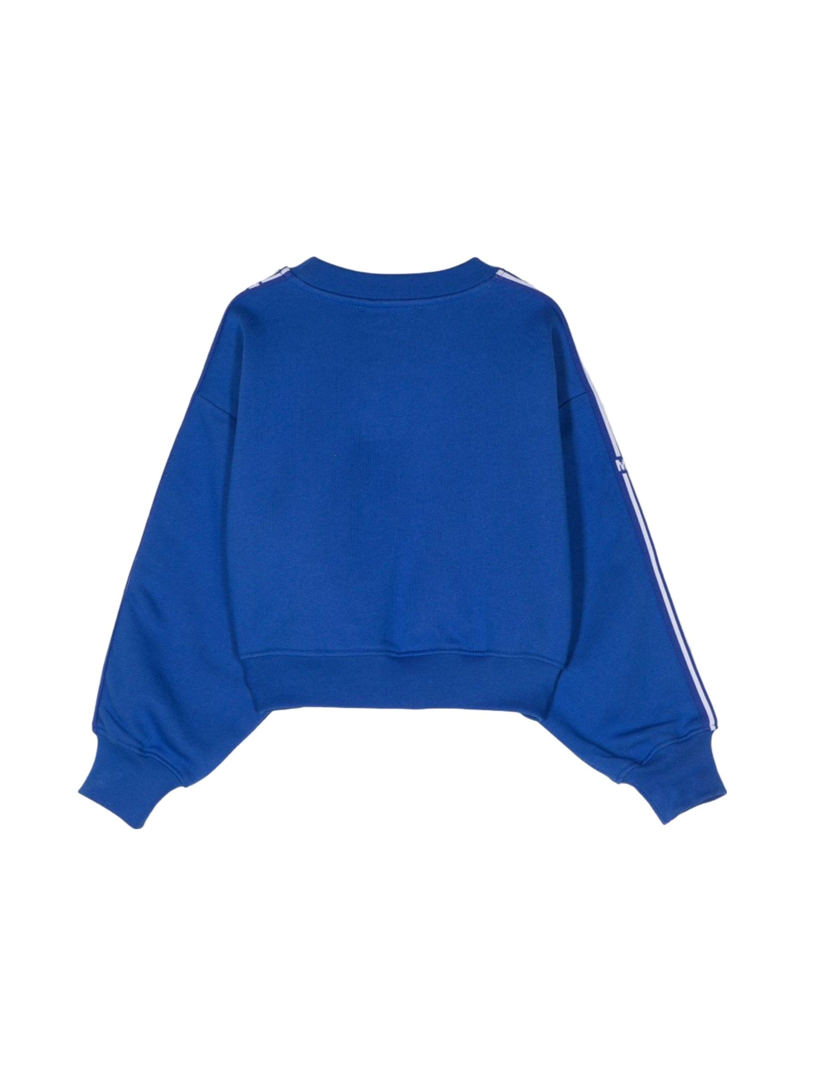 Cropped sweatshirt girl