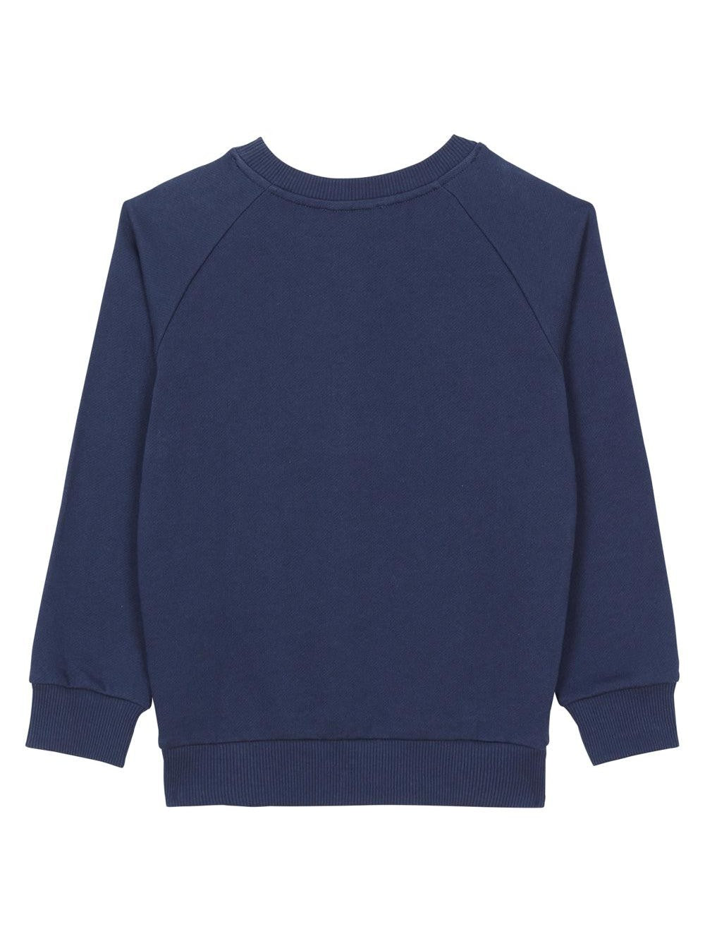Balmain paris sweatshirt