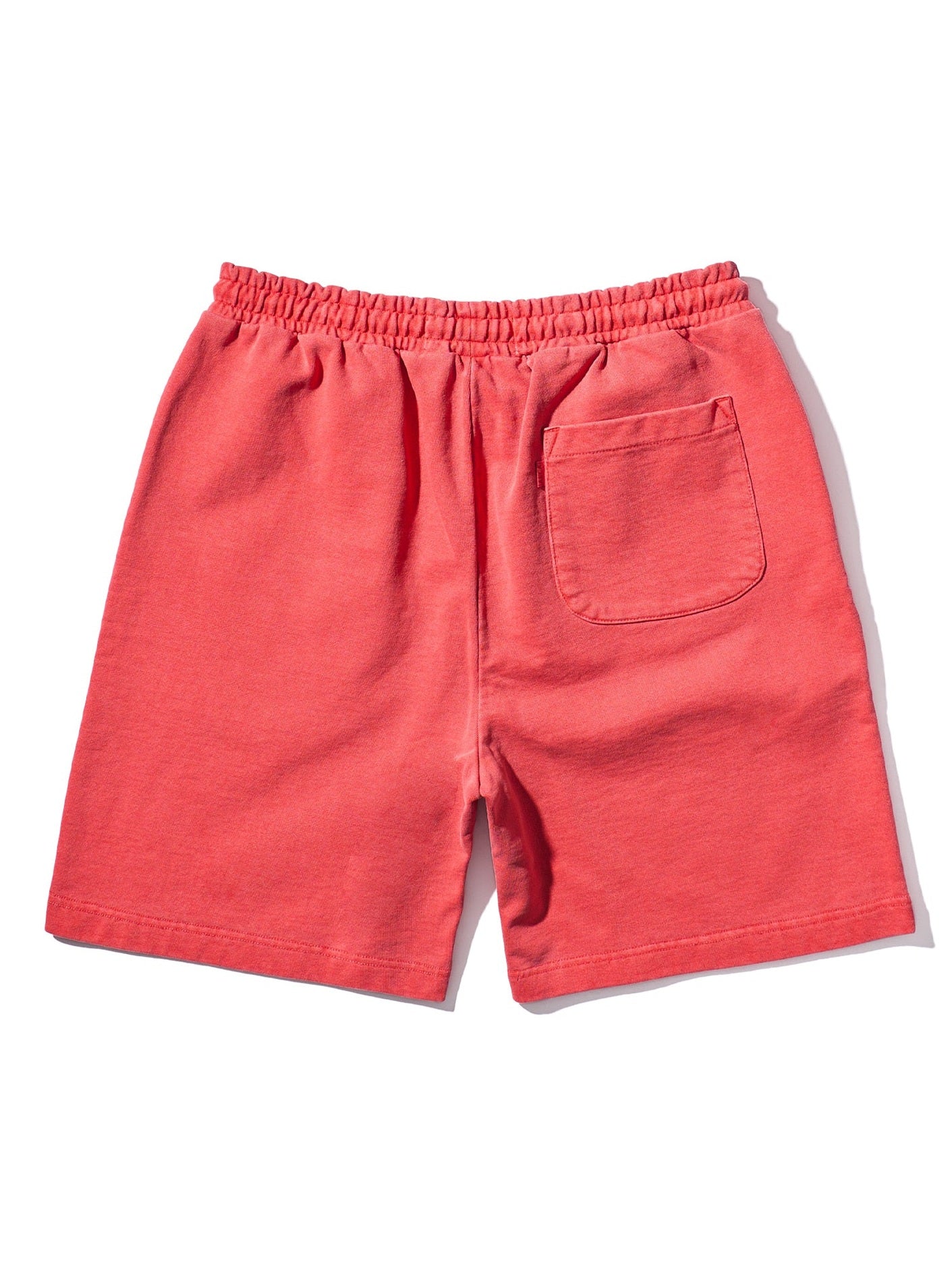 Aeca on the coast sweat shorts-washed coral