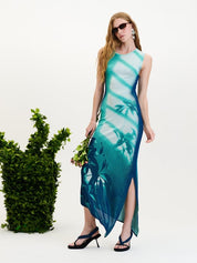 Cedar window print tank dress