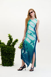 Cedar window print tank dress