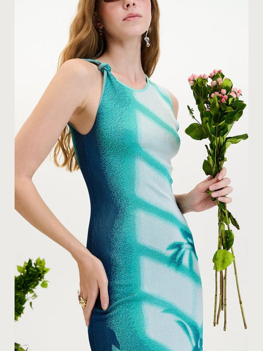 Cedar window print tank dress