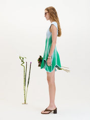Tina mini a-line dress