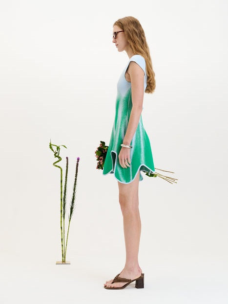 Tina mini a-line dress