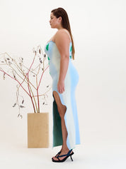 Iris flower print maxi tank dress