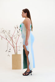Iris flower print maxi tank dress