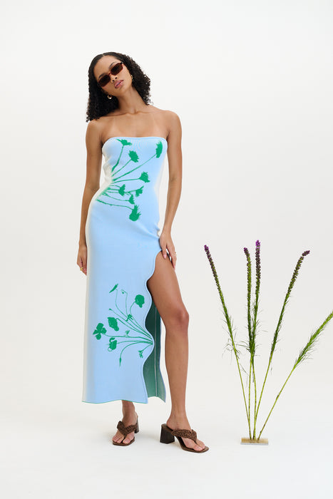 Iris flower print maxi tank dress
