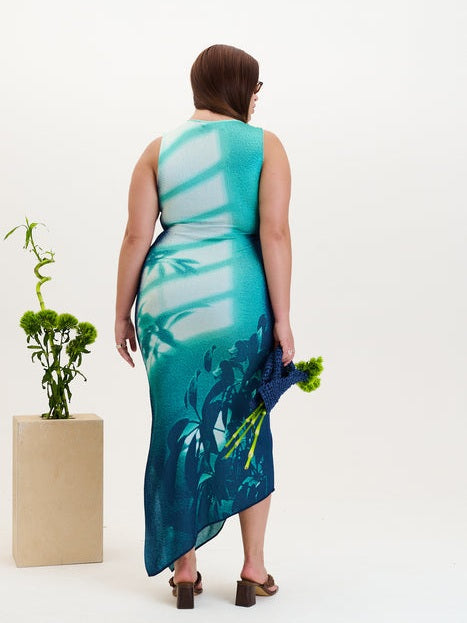 Cedar window print tank dress