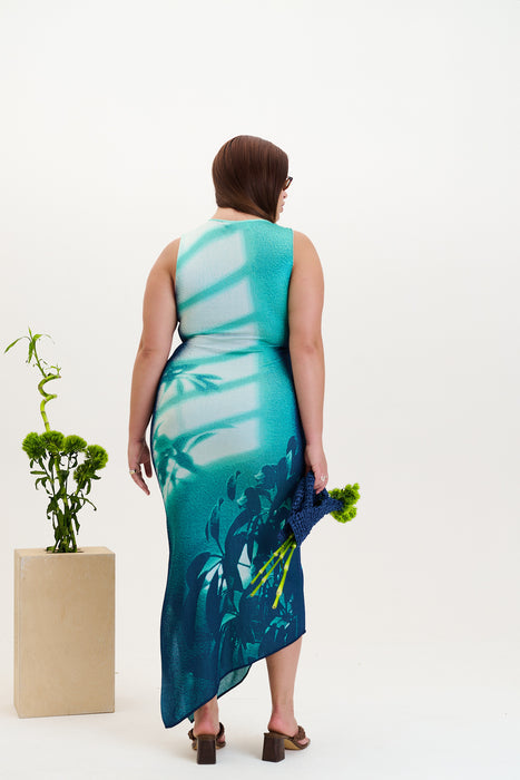 Cedar window print tank dress