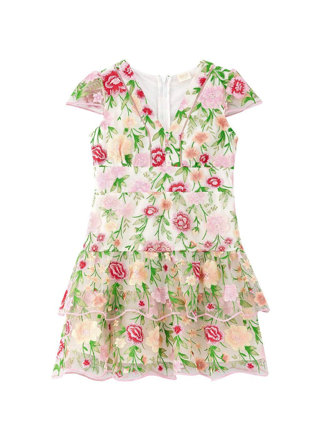 Poppy embroidered dress