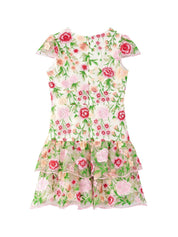 Poppy embroidered dress