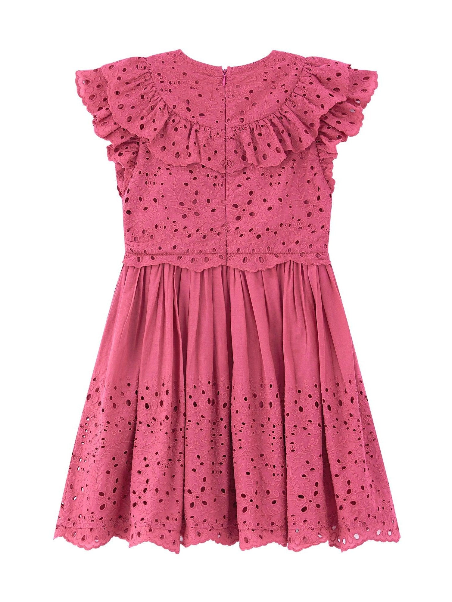 Naomi embroidered mini dress