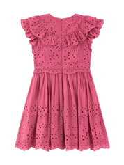 Naomi embroidered mini dress