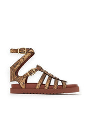Goldie gladiator