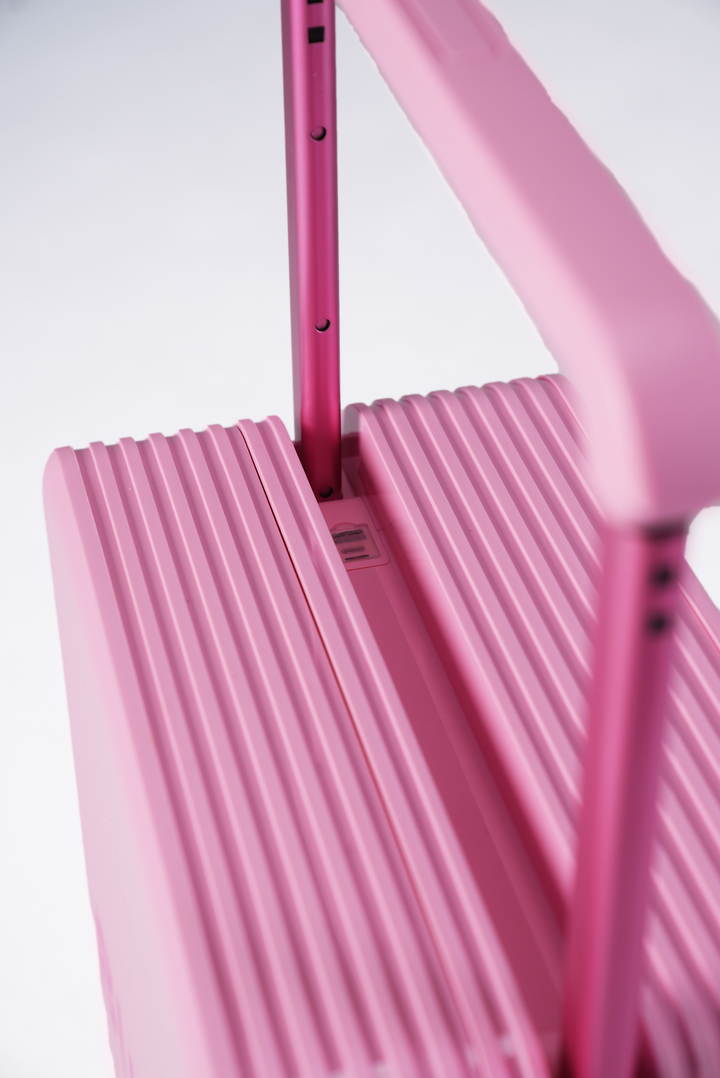 Buscar soft pink cabin bag