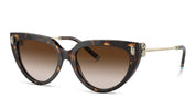 Tiffany & Co. 4195 Sunglasses