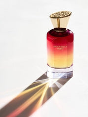 Fdm piccadilly hero edp 100ml