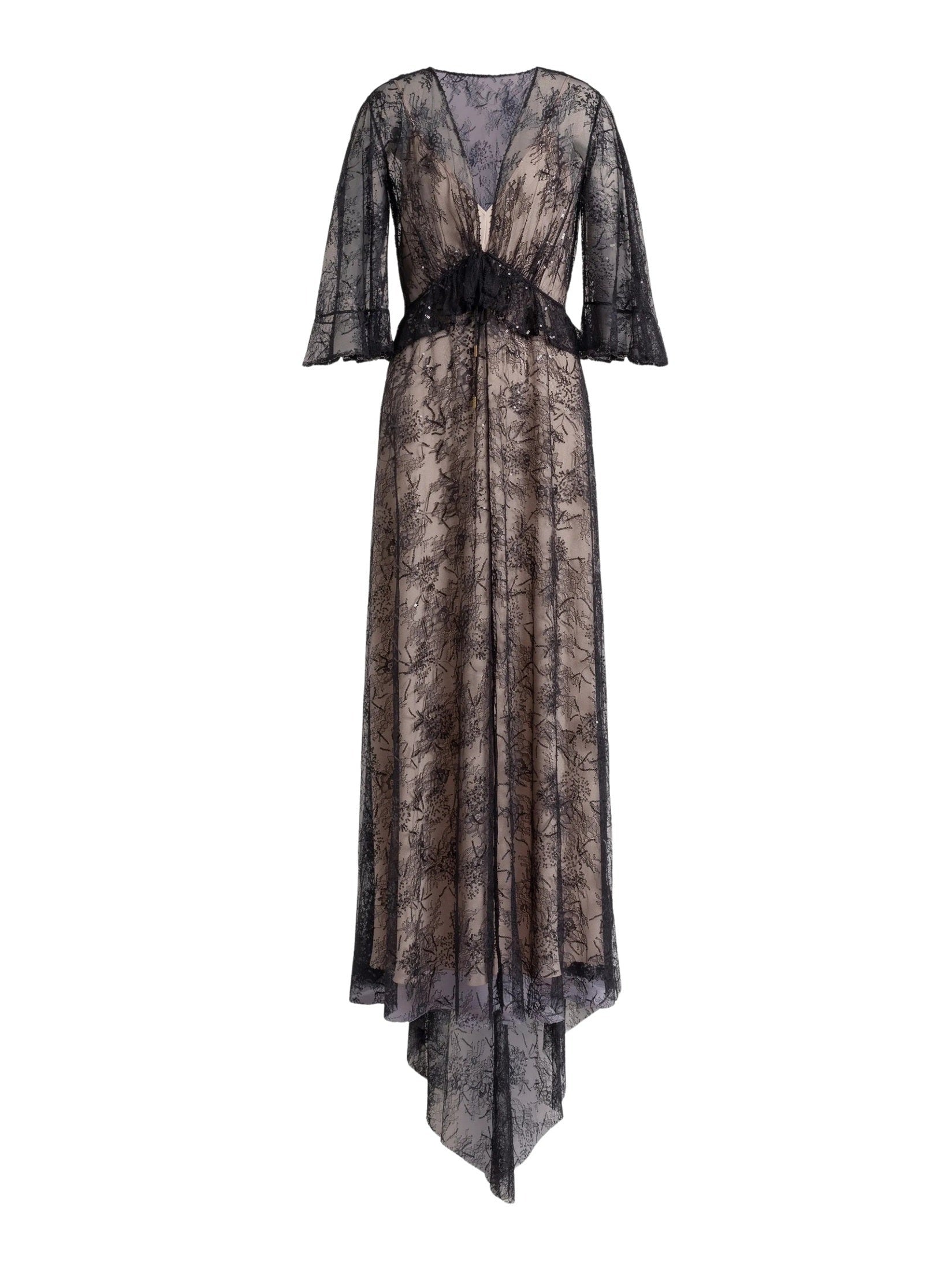 Alberta Ferretti V-neck maxi dress