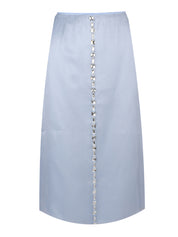 Organza midi skirt with strass embroidery