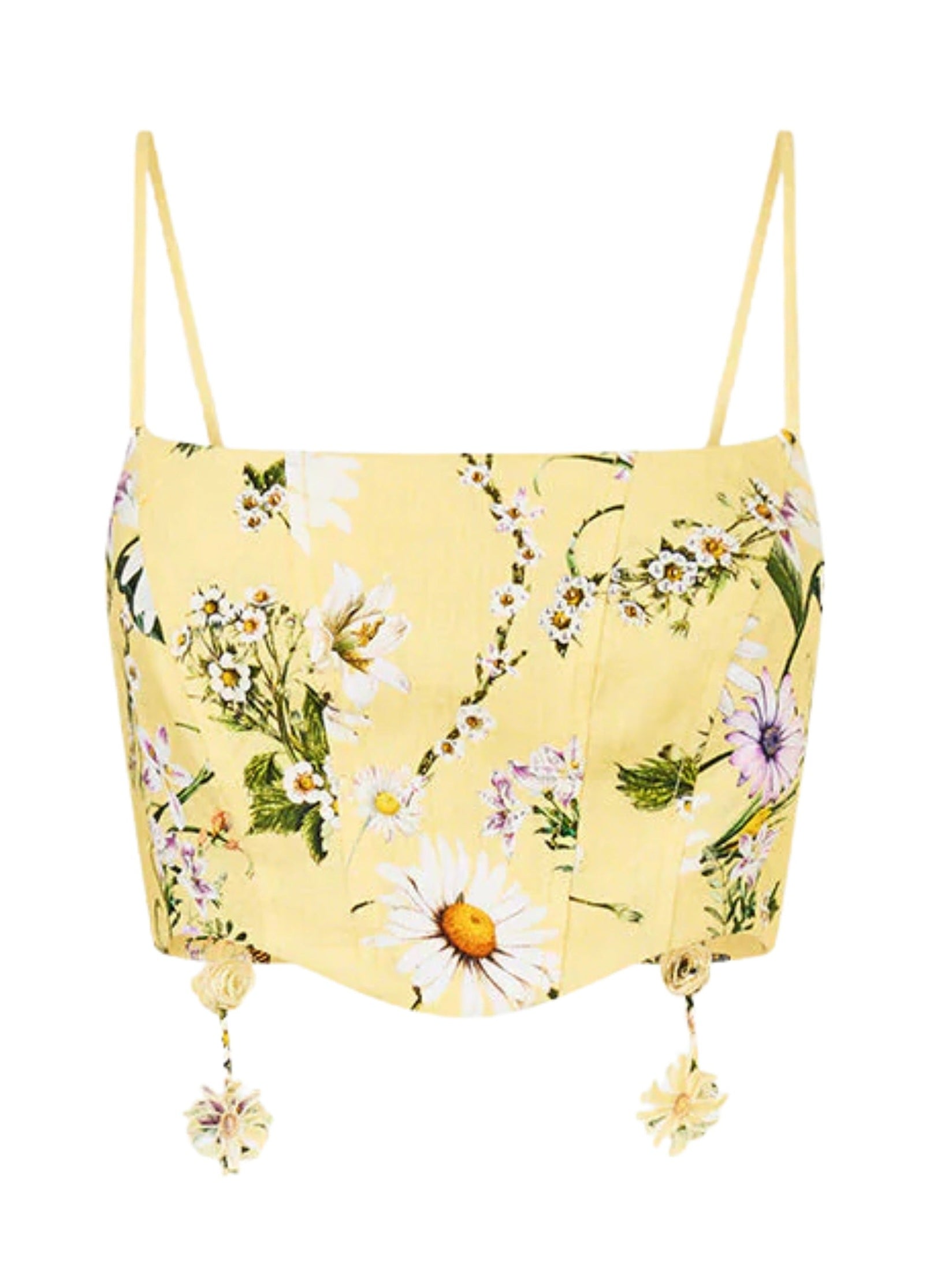 Corset crop top