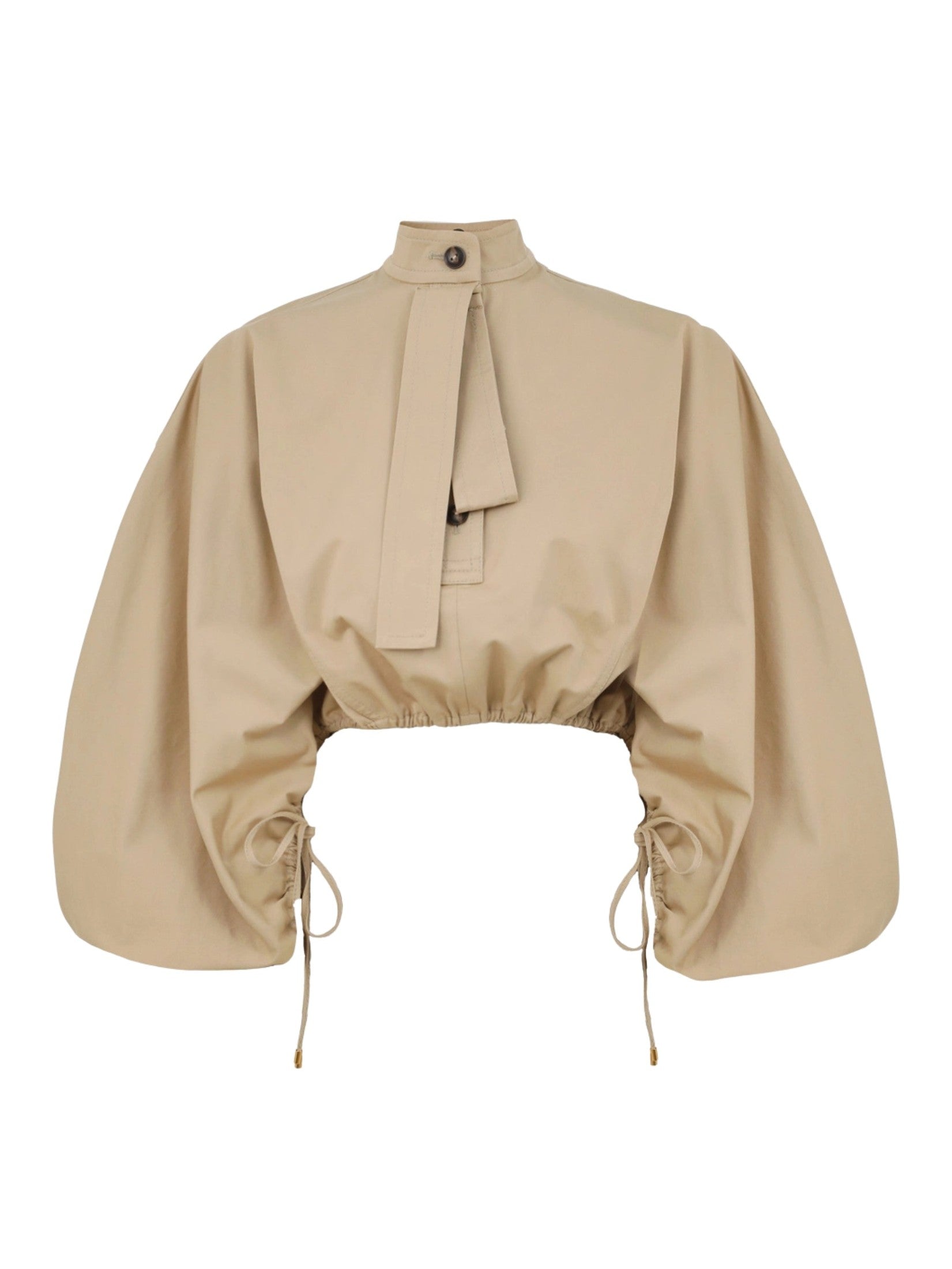Rebellion drawn top