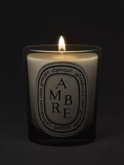 Dtq candle ambre 190g