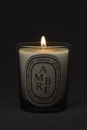 Dtq candle ambre 190g