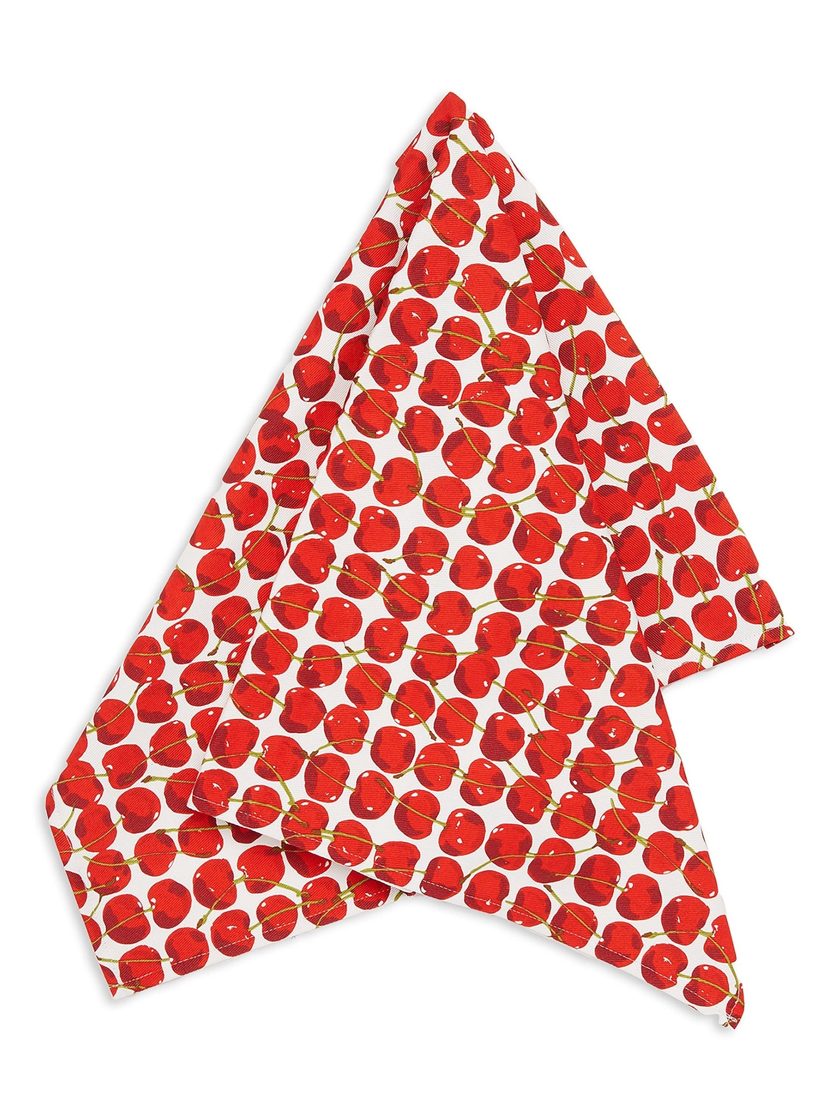 Dish towel
