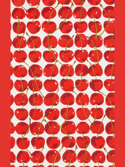 Dish towel