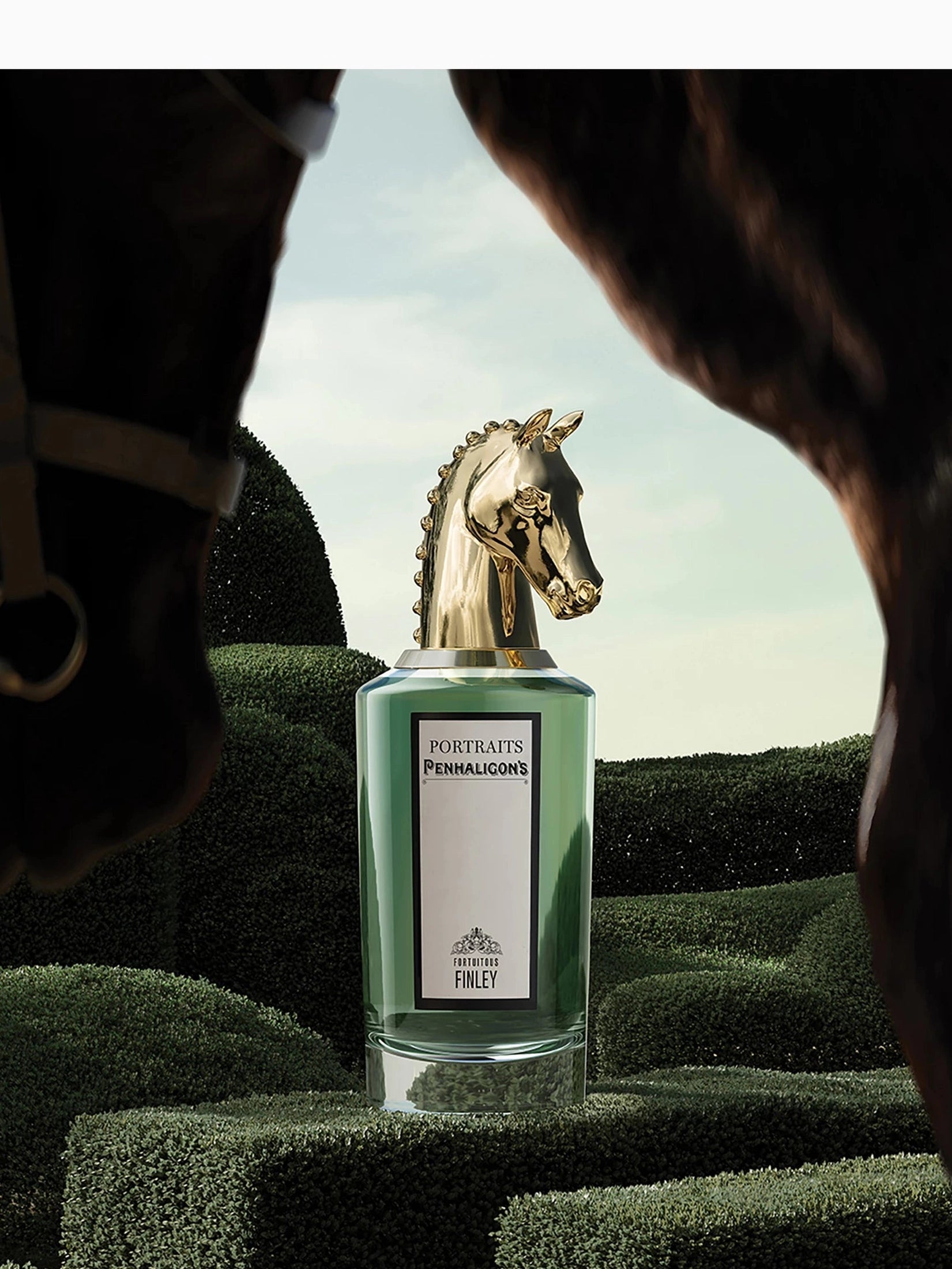Pen fortuitous finley edp 75ml