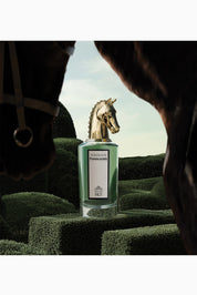 PEN FORTUITOUS FINLEY EDP 75ML