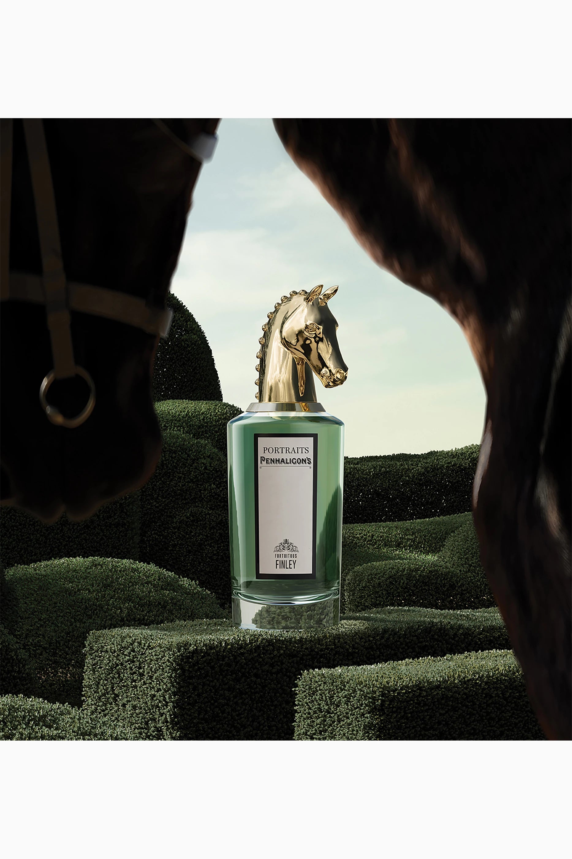 PEN FORTUITOUS FINLEY EDP 75ML