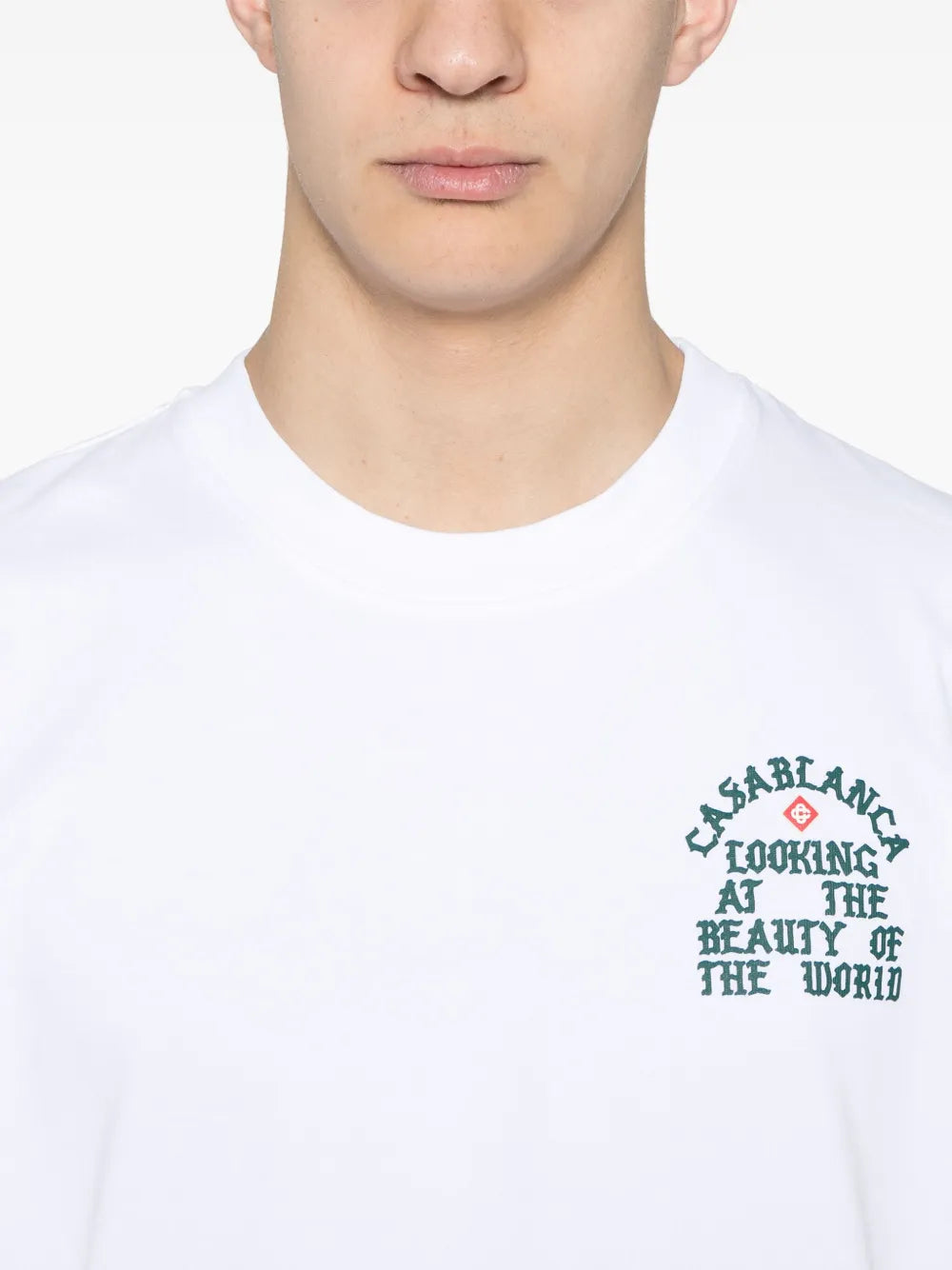 LOOKING AT THE BEAUTY OF THE WORLD PRINTED T-SHIRT