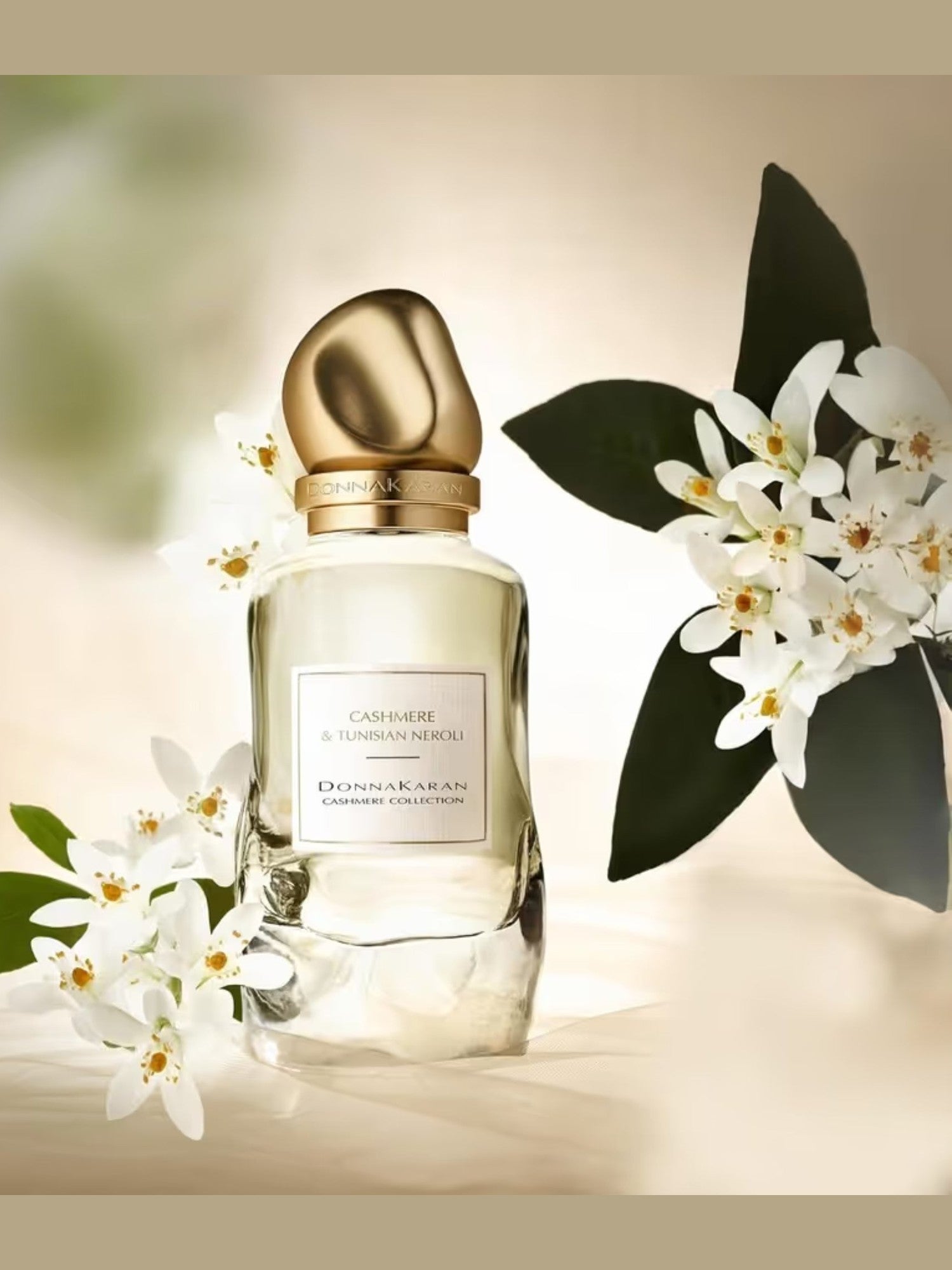 DONNA KARAN CASHMERE COLLECTION TUNISIAN NEROLI 100ML EDP
