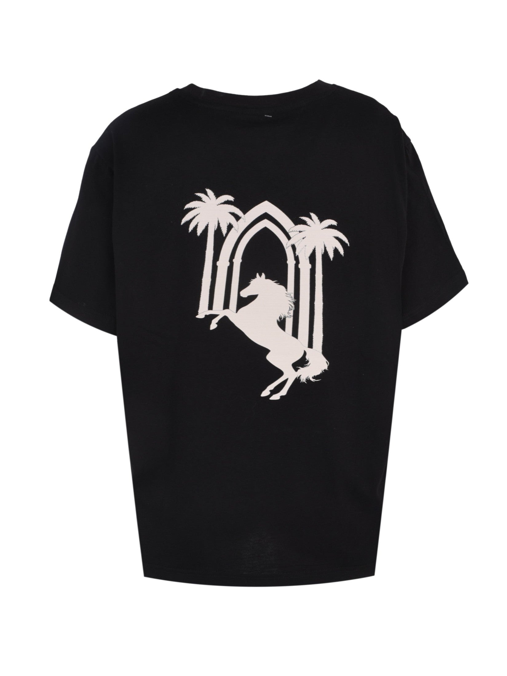 Founding day t-shirt