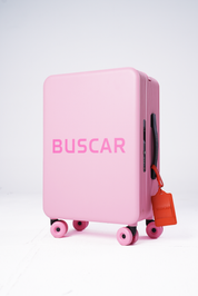 Buscar soft pink cabin bag