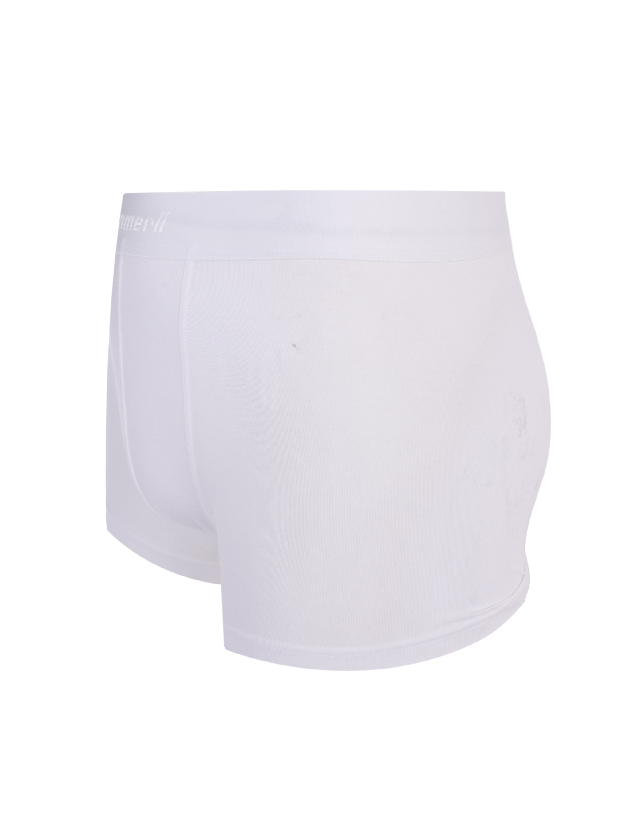 Pureness Boxer Briefs / Trunk