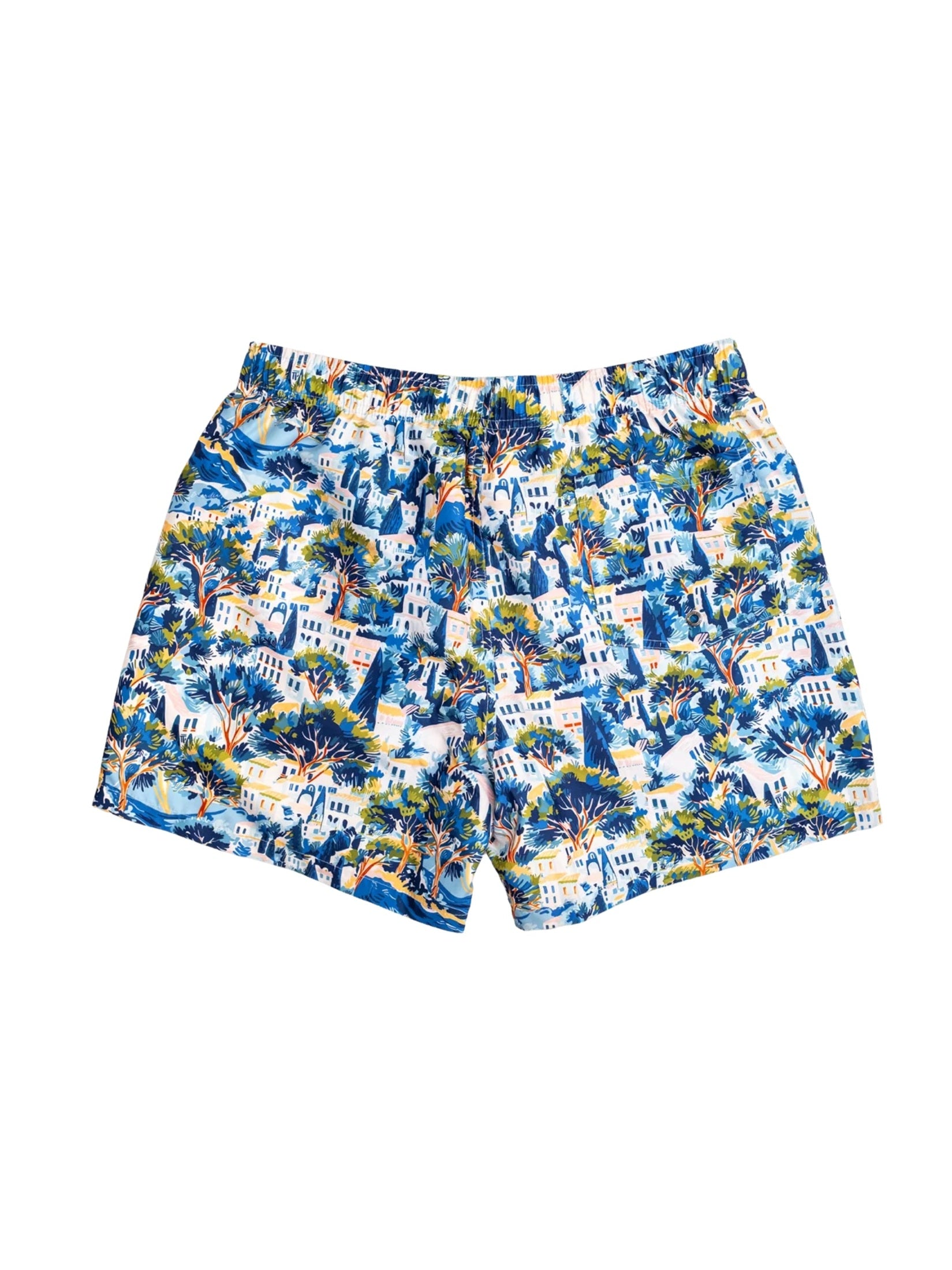 Boardies ameliano premium mens swim shorts