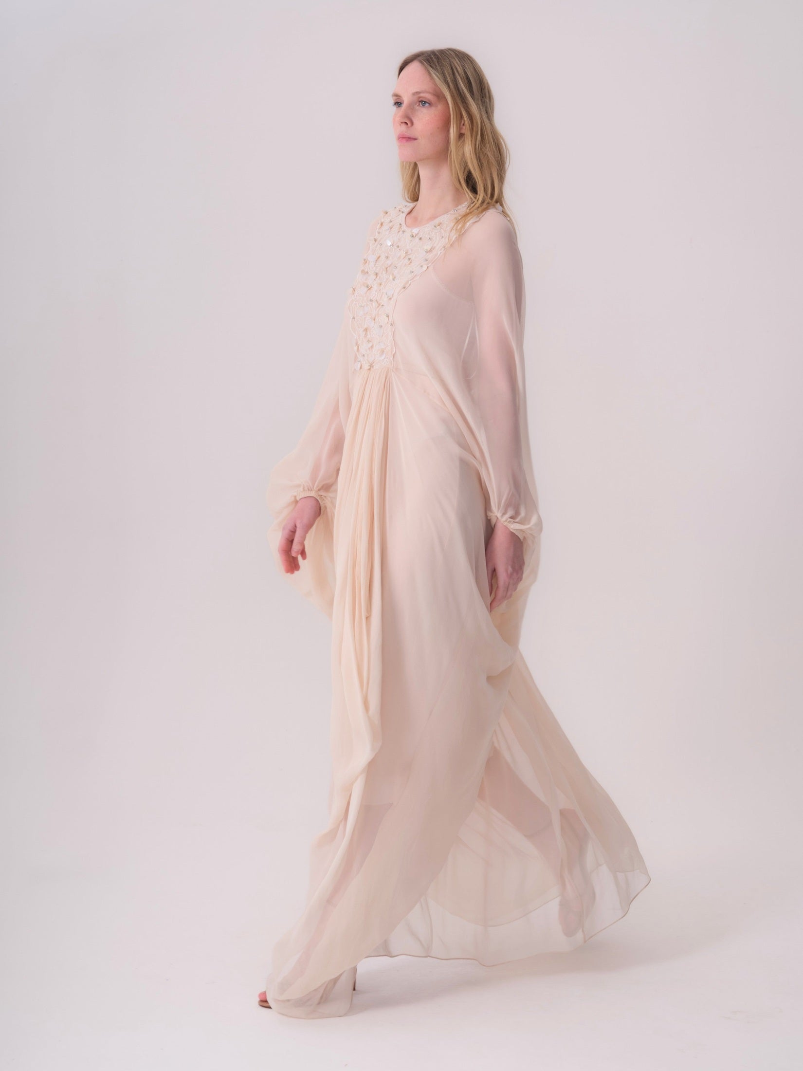 Embroidered Chiffon Dress