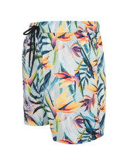 All over print boardshorts