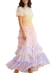 Wild rose ombre short sleeve gown
