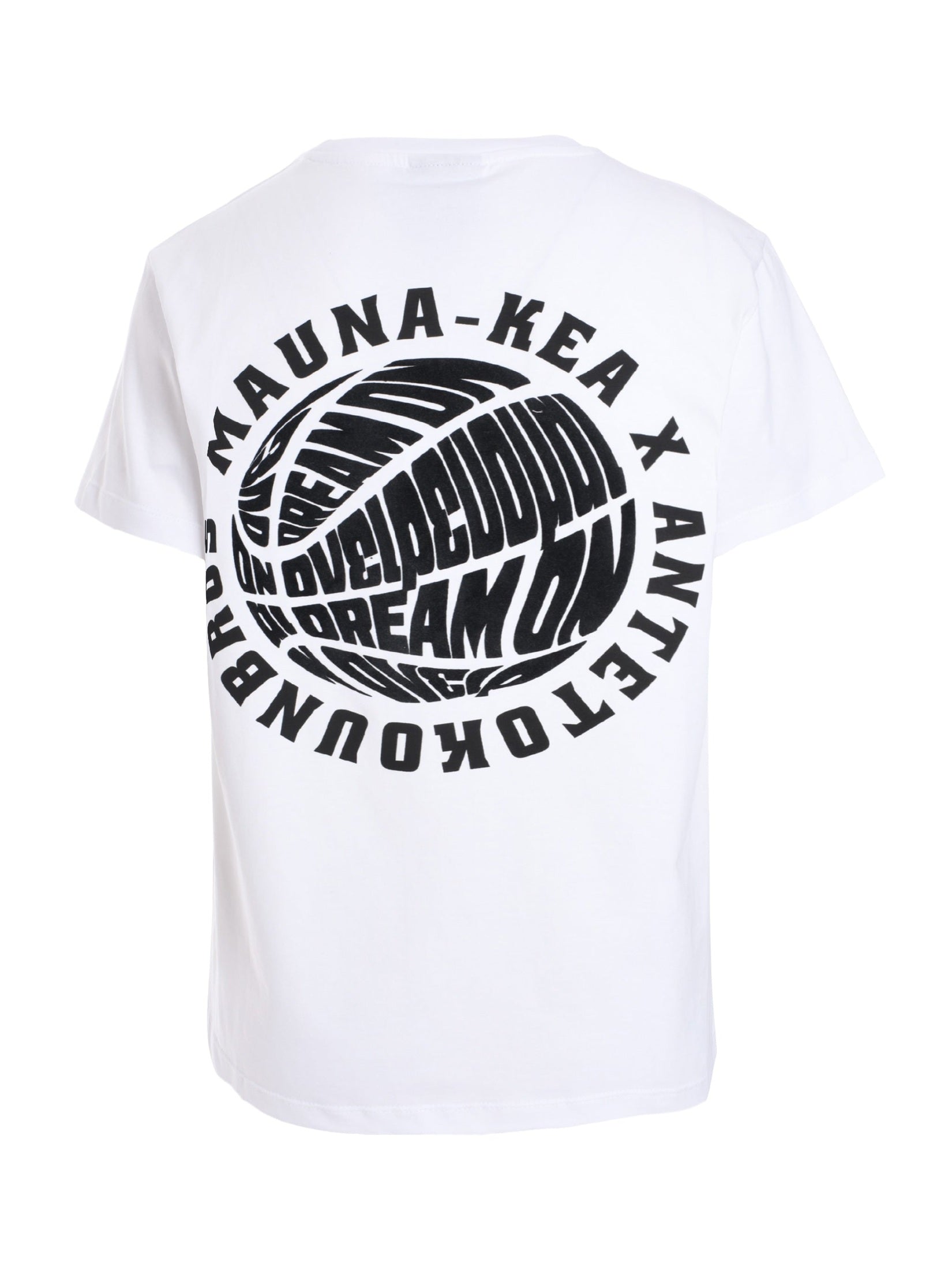 Dream on t-shirt