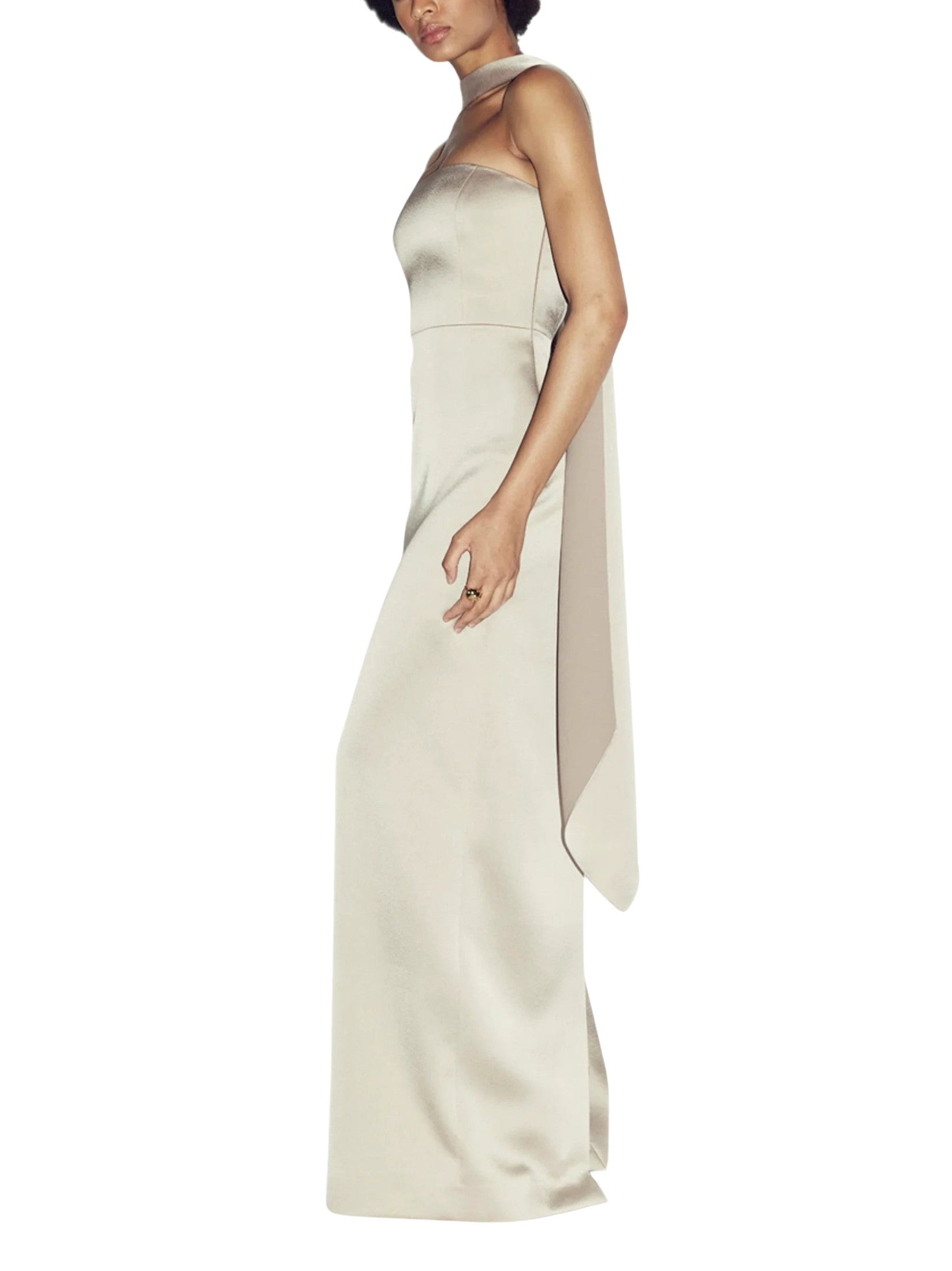 Ushi Taupe Gown
