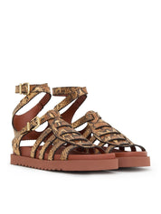 Goldie gladiator