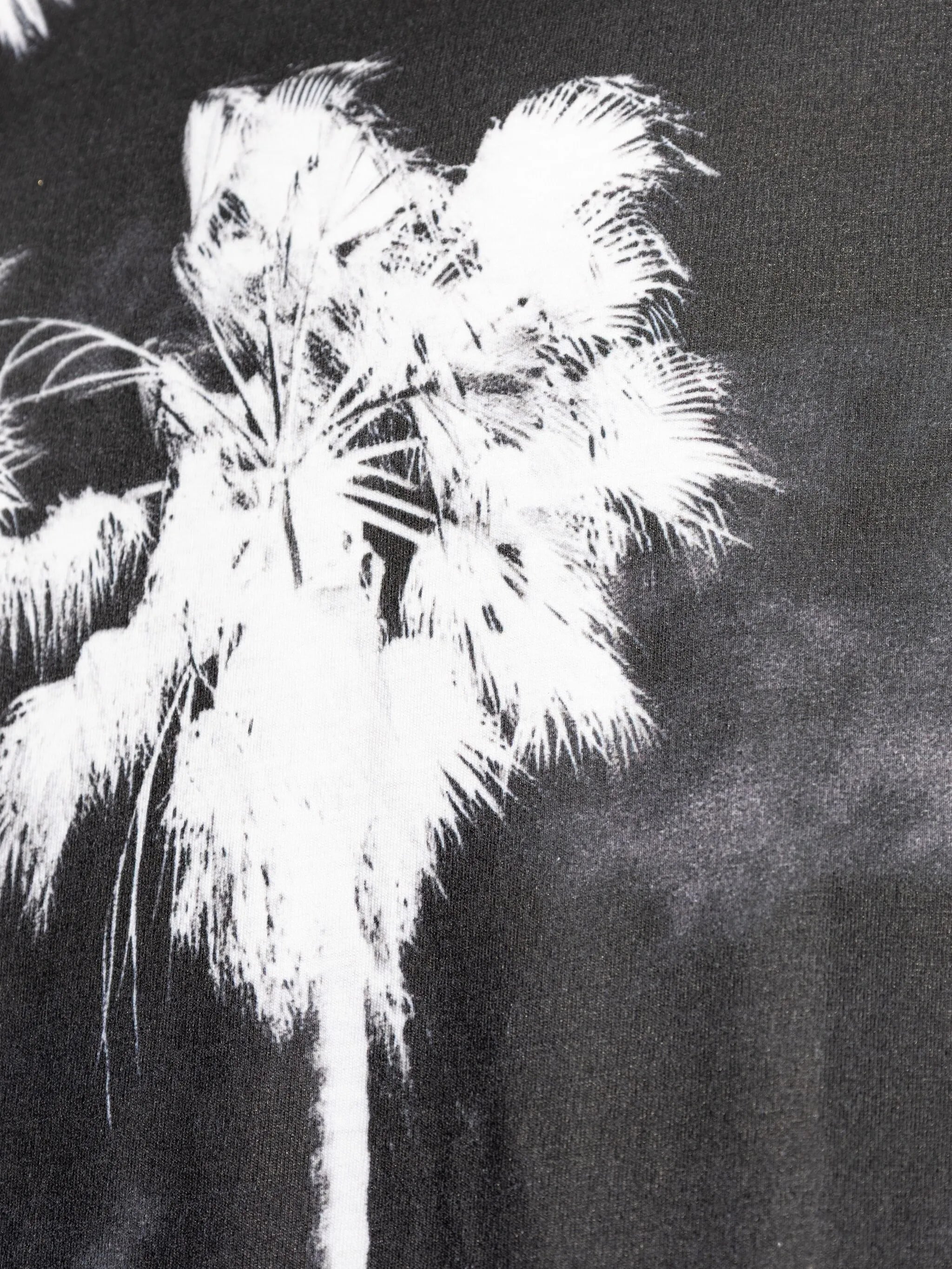 DEC PALM CULTURE LOOSE TEE