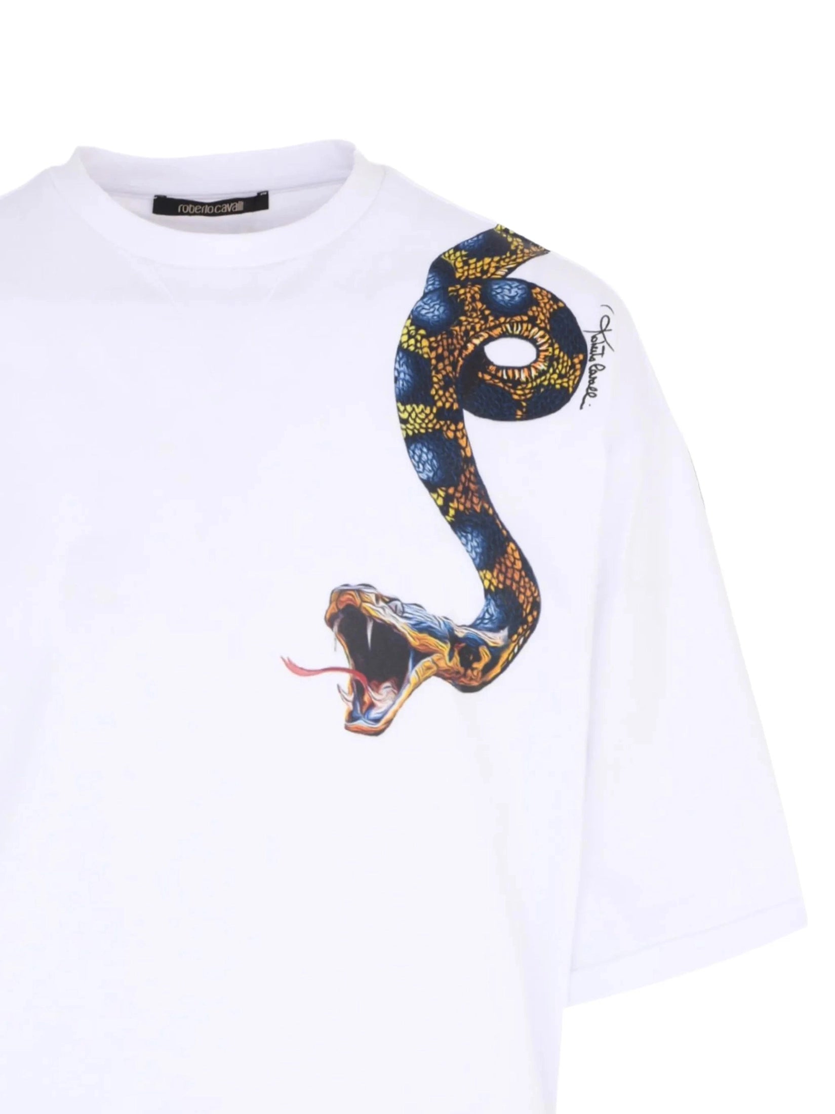Snake-print t-shir