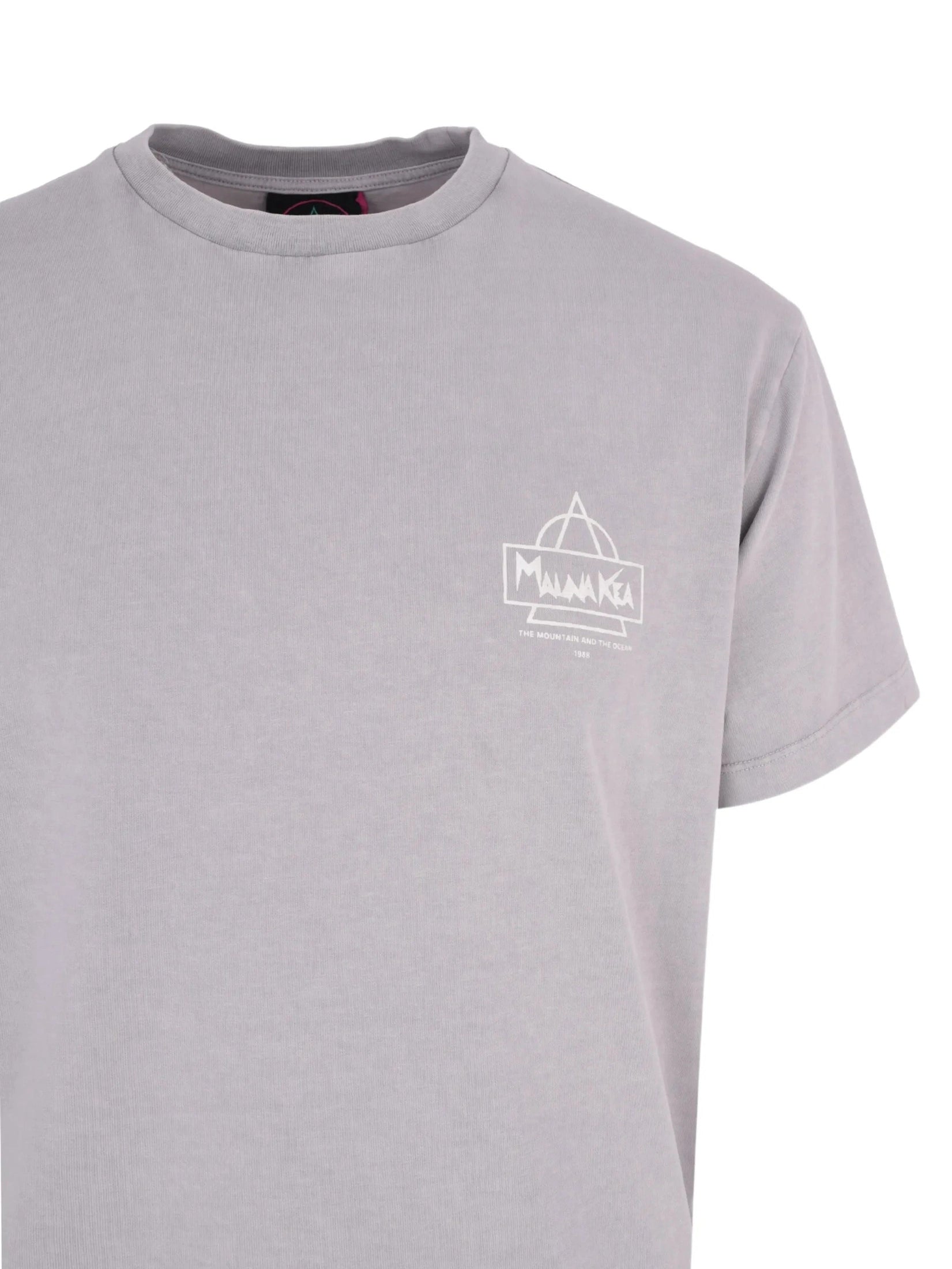 Beach & snow t-shirt