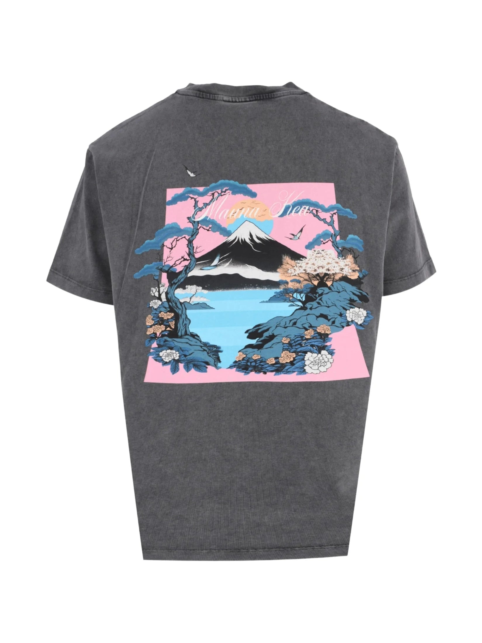 Samurai t-shirt