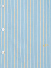 The blue stripe shirt